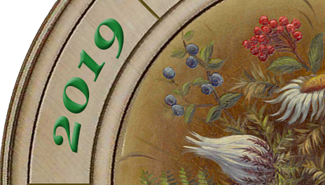 2019 NOF