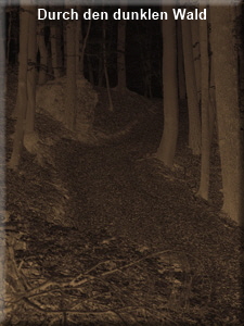 012Wald dunkelNOF