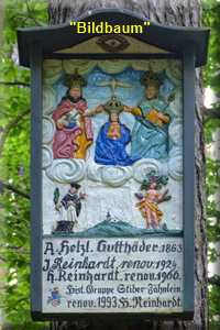 11BildbaumNOF 11BildbaumNOF