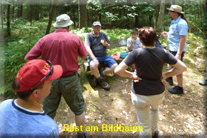 14Rast am BildbaumNOF 14Rast am BildbaumNOF