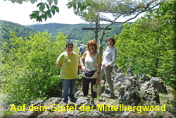 MittelbergwandNOF MittelbergwandNOF