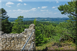 002LichteneggNOF 002LichteneggNOF