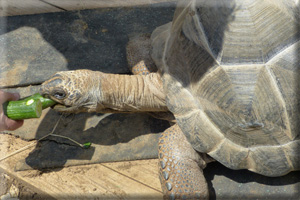 07Beim GurkenfressenNOF